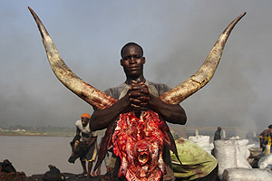 Россию приравняли к Нигерии по уровню риска для инвесторов 