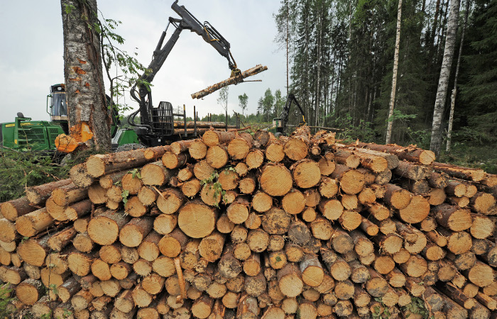 Финские эксперты рассказали о последствиях возможных ограничений в торговле лесом