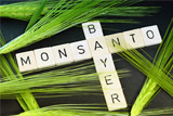        Bayer  Monsanto