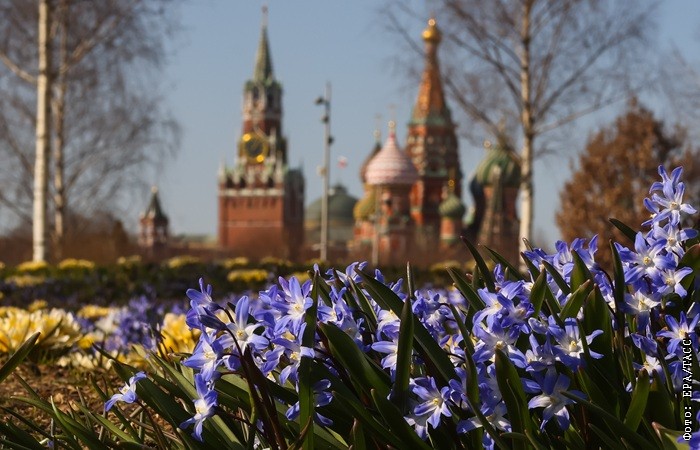 Воздух в Москве в выходные может прогреться до плюс 17 градусов