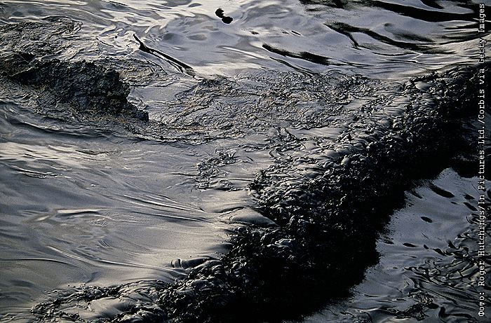 Почти 1 тыс. кубометров нефтепродуктов убрали из реки и с побережья Туапсе