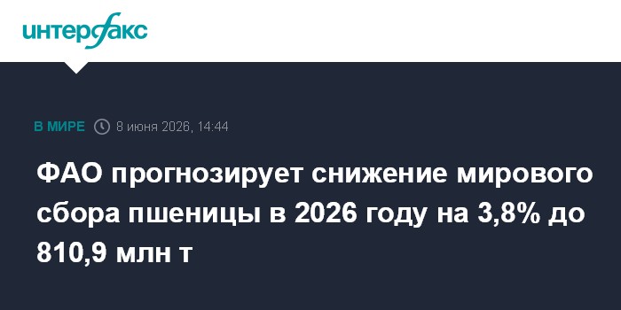 ФАО прогнозирует снижение мирового сбора пшеницы в 2026 году