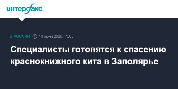 Специалисты готовятся к спасению краснокнижного кита в Запол