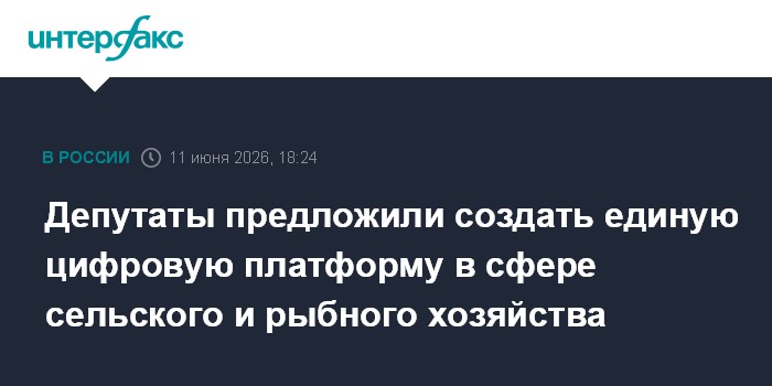 Депутаты предложили создать единую цифровую платформу в сфер