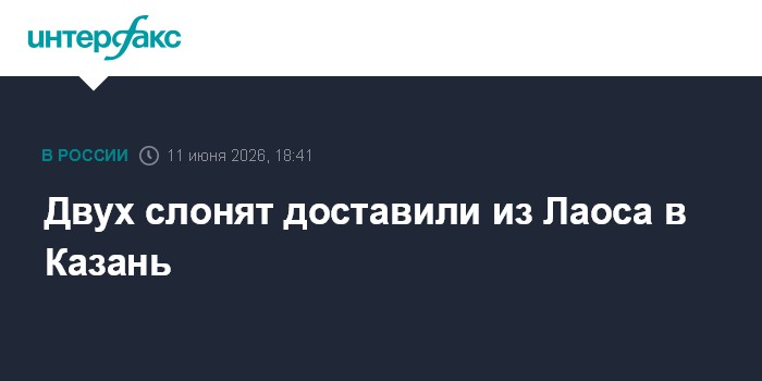 Двух слонят доставили из Лаоса в Казань