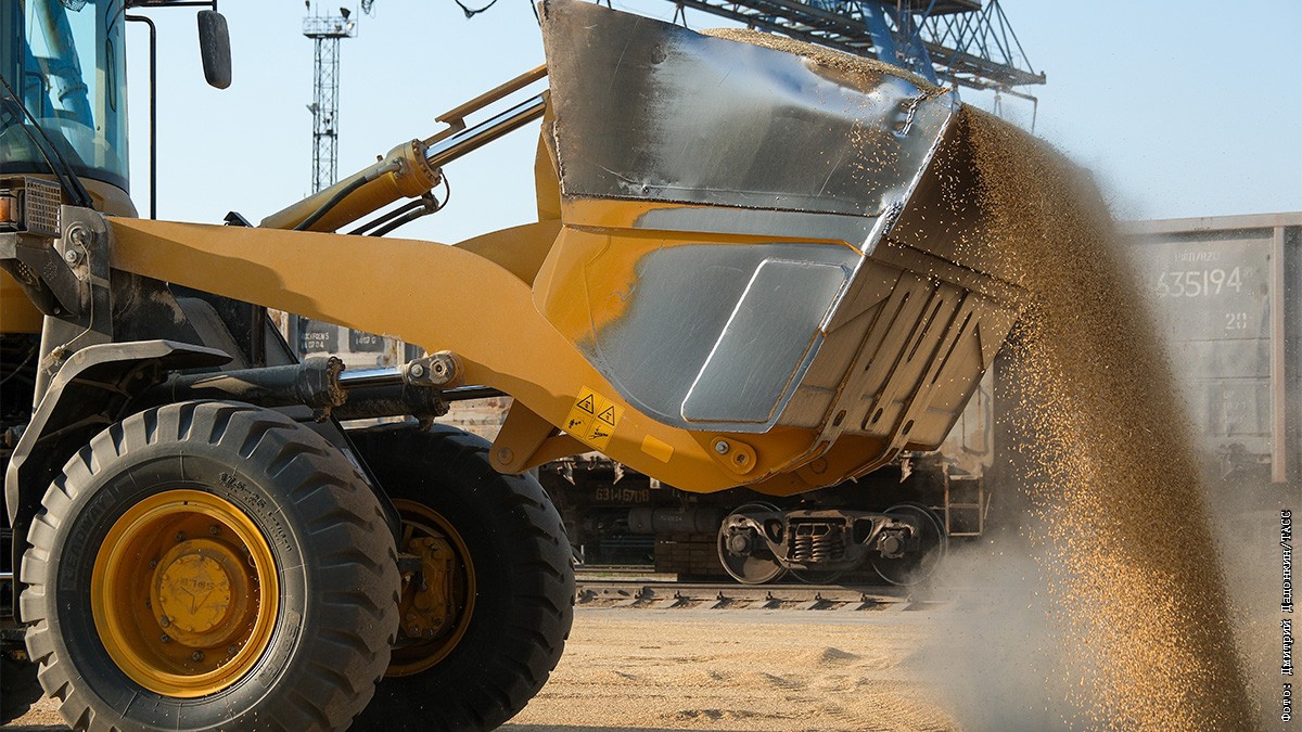 Estonia bans transit of Russian and Belarusian grain