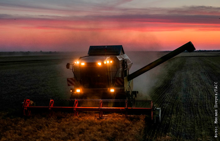 Оккупанты вывезли из Украины пшеницу минимум на один миллиард долларов, - СМИ