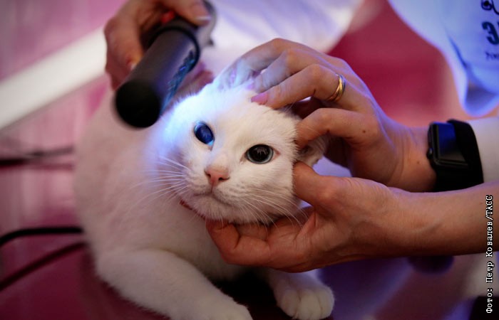 В Думу направлена законодательная инициатива о вычете по НДФЛ за услуги ...