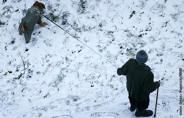 В Москве минимальная пенсия с доплатой будет индексирована до 24 500 рублей