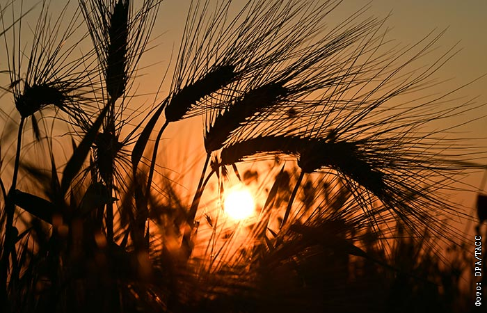 Что у человека увеличивается в 7 раз. Число 6 увеличить в 9 раз получится. Звоню подруге спрашиваю как прошли выходные после долгой паузы. Произведение чисел 5 и 8 увеличь в 2 раза. Анекдот какой орган увеличивается в 7 раз.