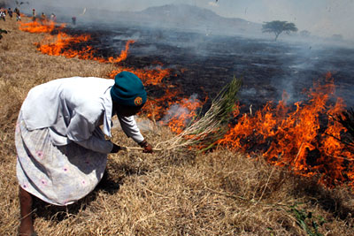 В Кении бушуют лесные пожары