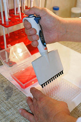 Подготовка к клиническим испытаниям вакцины против вируса А/H1N1