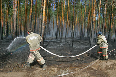 Лесные пожары в Ивановской области