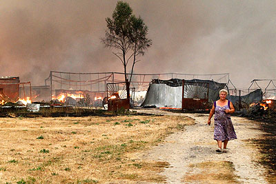 Лесные пожары захватили Россию