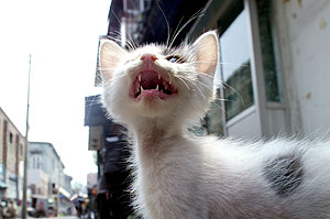 Это просто жизнь