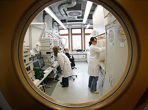 Объявлены Нобелевские лауреаты по физике