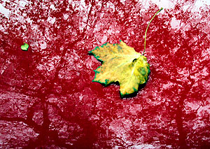 Дождливые капризы октября