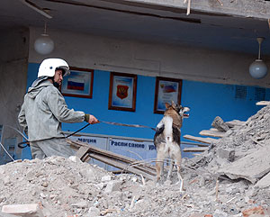 Кто виноват в трагедии в Беляевке