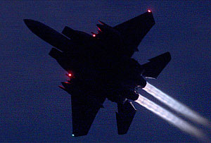 Японский сторожевой