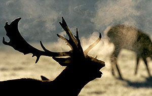 Это просто жизнь