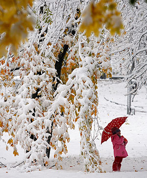Первый снег