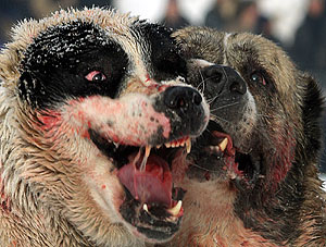 Это просто жизнь