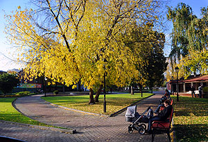 Экология Москвы online