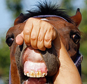 Это просто жизнь