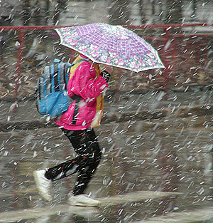 Удручающий прогноз