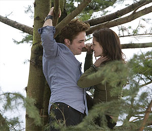 Сумеречная зона любви