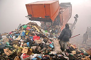 Отрезанная голова в мусорном контейнере