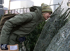 Красавиц хватит всем