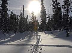 Белорусы уходят думать до весны
