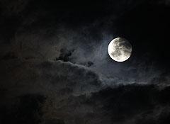 Лунная недвижимость процветает