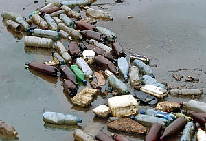 Как сделать Подмосковье чистым