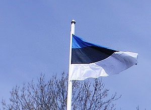 Учить, учить и еще раз учить… эстонский