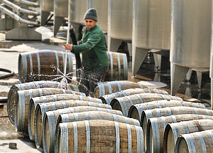 Молдавское вино вернулось не полностью