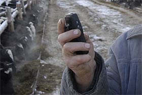 Судебные приставы наносят "телефонный" удар