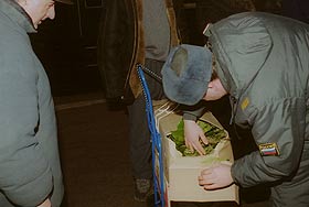 Агония "зеленой" милиции