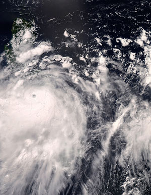 Природа против биржевых торгов