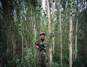 World Press Photo: больше чем фотография