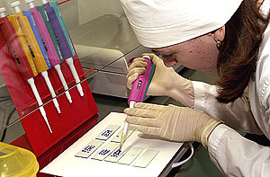 Стафилококк вместо сибирской язвы