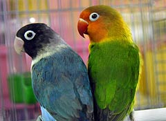 Это просто жизнь