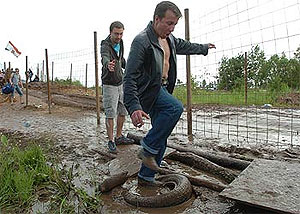 Грязные танцы