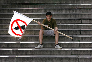 Не истерика, а ответные шаги