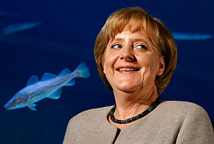 Сильные женщины мира сего. Фото