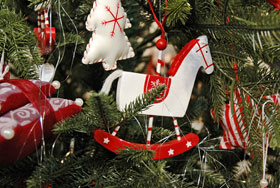 Готовь елку с лета