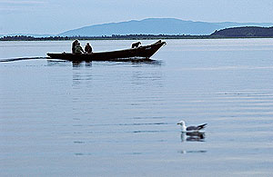 Байкал выдает секреты нефти