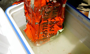 Проблема "черных ящиков"