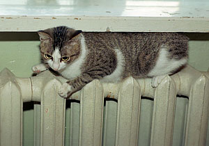 Тепло вашему дому